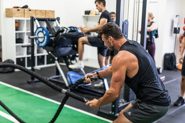 Pure Plant Protein Creatine Monohydrate