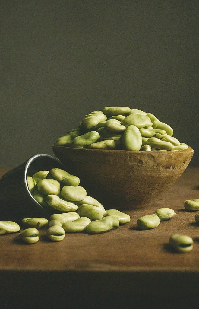 At Pure Plant Protein we produce in-house so we can oversee every stage of the protein blend.