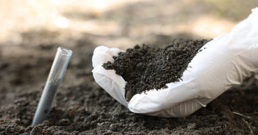 Heavy Metals in Plant Protein: What’s Hype and What’s Real