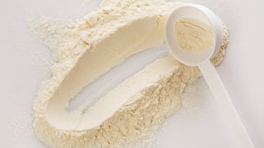 Vegetarian Protein Powder