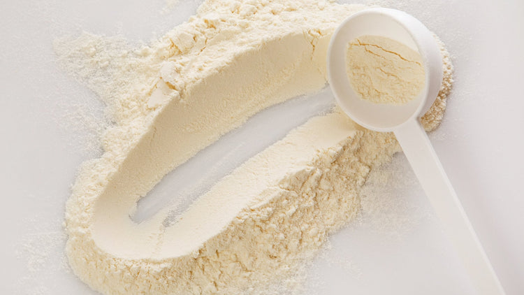 Vegetarian Protein Powder